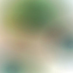 Similar image 8559859