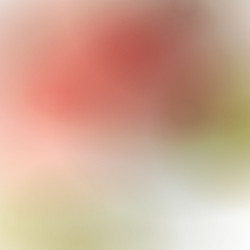 Similar image 8559913