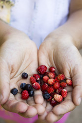 Similar image 8560049