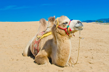 Similar image 8560181