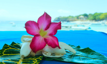 Similar image 8560188