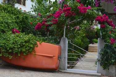 Similar image 8560192