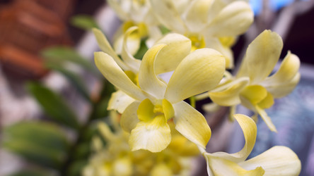 Similar image 8560193