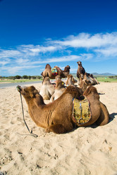 Similar image 8560251