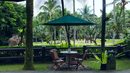 Similar image 8560374