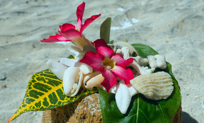 Similar image 8560382