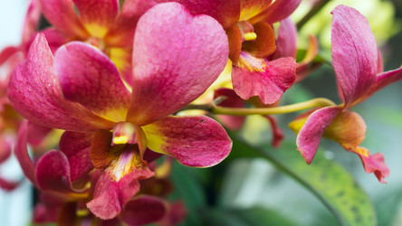 Similar image 8560384