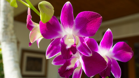 Similar image 8560389