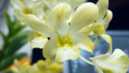 Similar image 8560392