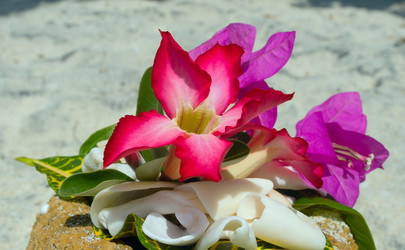 Similar image 8560400