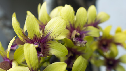 Similar image 8560405