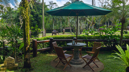 Similar image 8560416