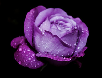 Similar image 8560468