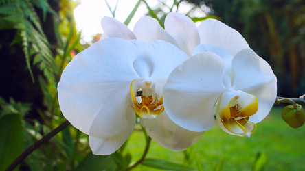 Similar image 8560483