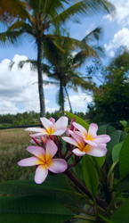 Similar image 8560488