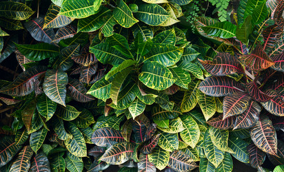 Similar image 8560490