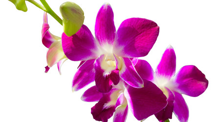 Similar image 8560491