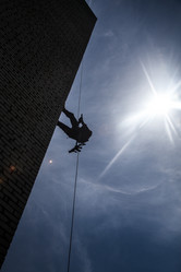 Similar image 8560536