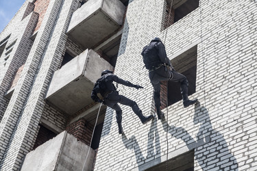 Similar image 8560549