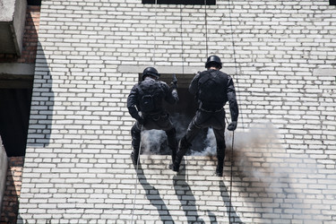 Similar image 8560552