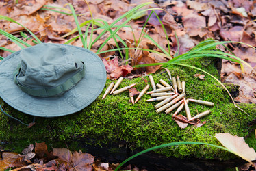 Similar image 8560754