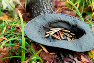 Similar image 8560756