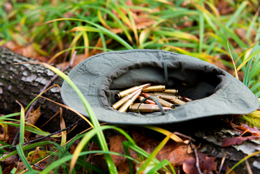 Similar image 8560758