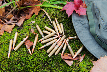 Similar image 8560781