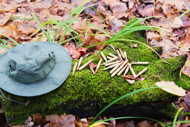 Similar image 8560782