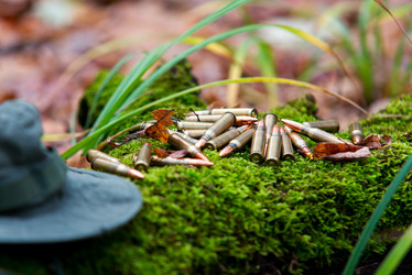 Similar image 8560784