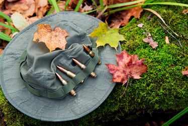 Similar image 8560787