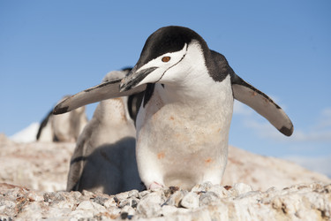 Similar image 8560924