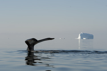 Similar image 8560928