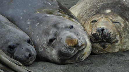 Similar image 8560978