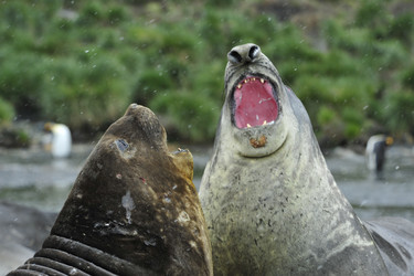 Similar image 8560980