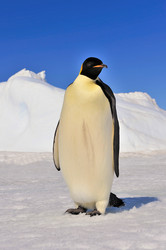 Similar image 8560984