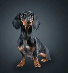 Similar image 8561121