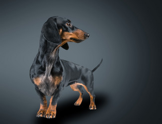 Similar image 8561122