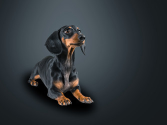 Similar image 8561123