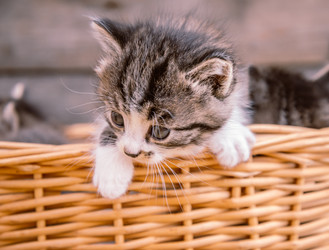 Similar image 8561188