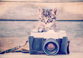 Similar image 8561808