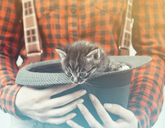 Similar image 8561811