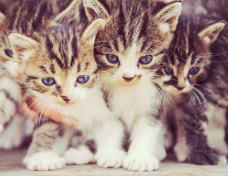 Similar image 8561812