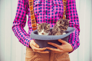 Similar image 8561814