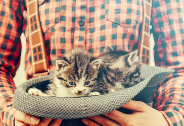 Similar image 8561815