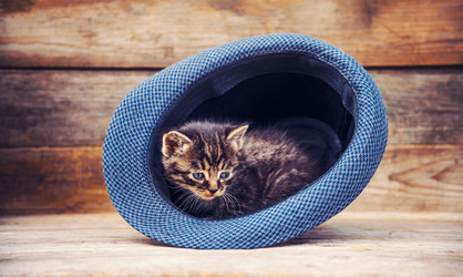 Similar image 8561816