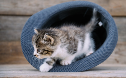 Similar image 8561817