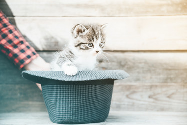 Similar image 8561931