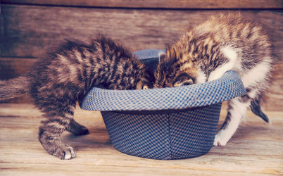 Similar image 8561933