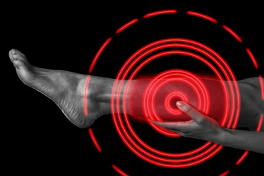 Similar image 8561939